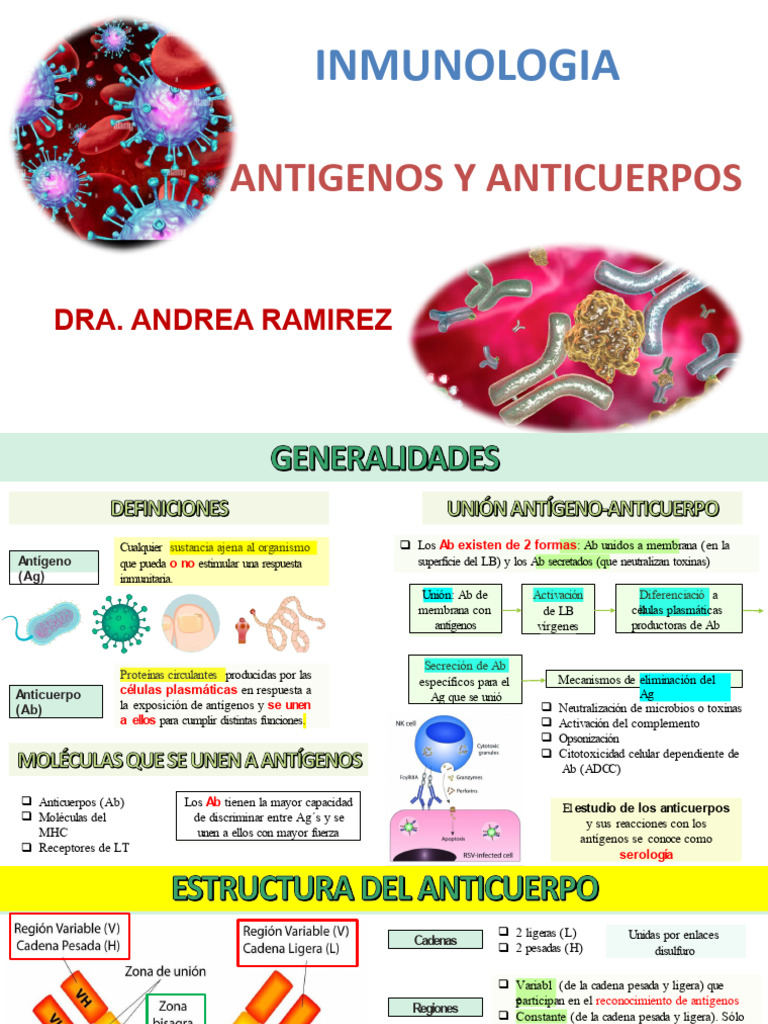 Antígenos y Anticuerpos en Inmunología | PDF | Anticuerpo | Antígeno