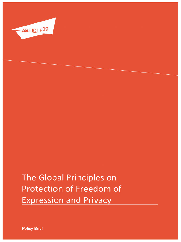 Global Principles on Expression & Privacy | PDF | Privacy | Freedom Of ...
