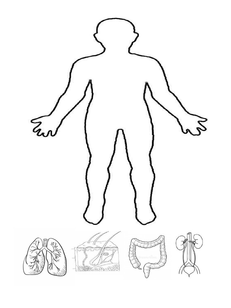 Excreation pdf