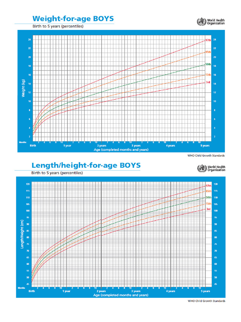 Growth Chart 0-5boy | PDF