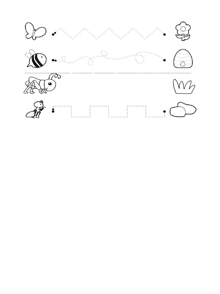 Insectos - Donde Viven | PDF