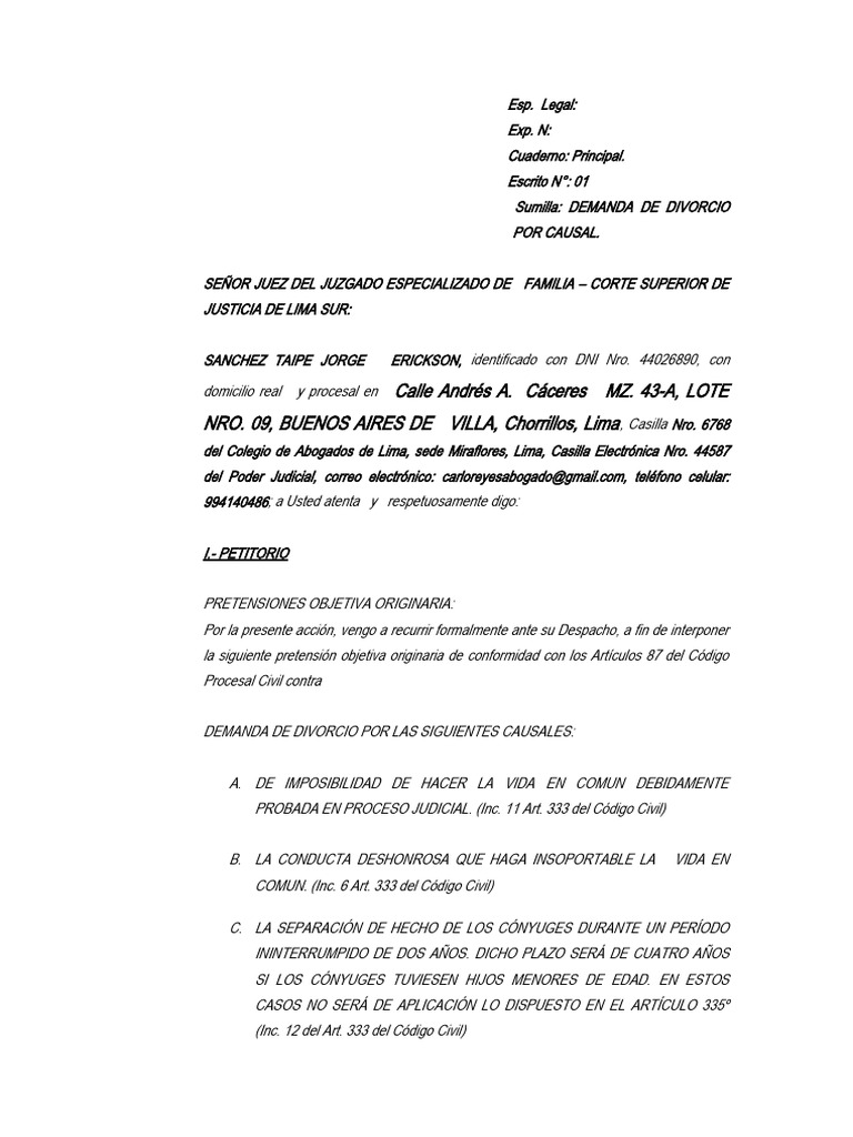 Demanda Divorcio Modelo Jorge Sanchez | PDF | Divorcio | Violación