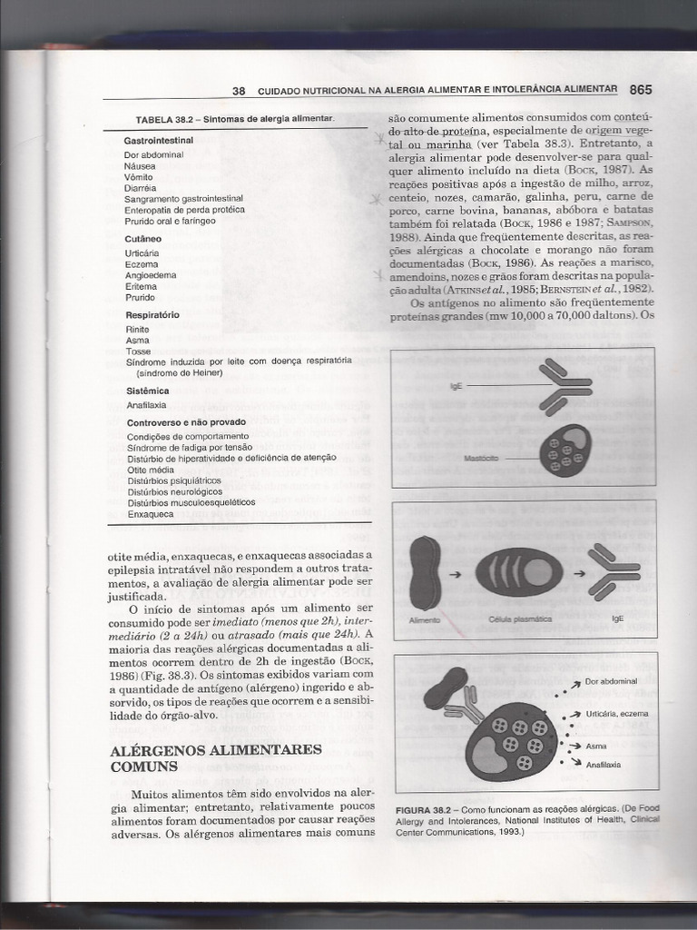 Alergia 4 Pdf