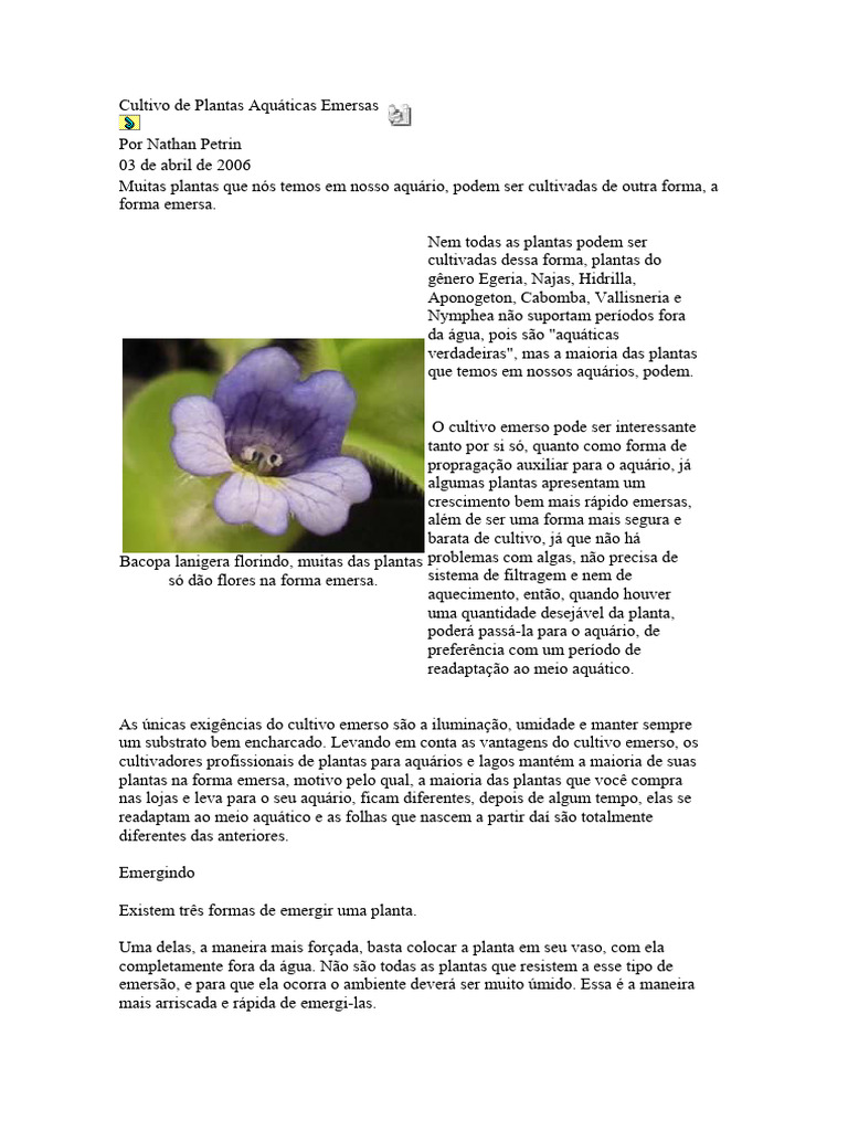 Cultivo de Plantas Aquáticas Emersas | PDF | Aquário | Plantas