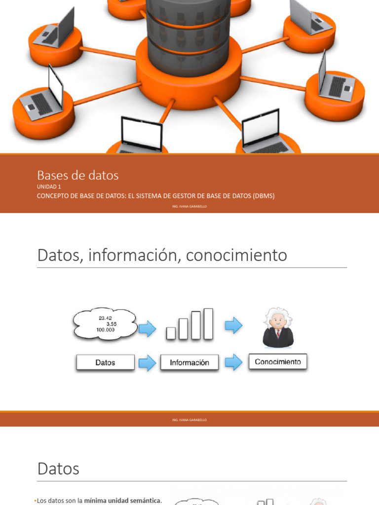Conceptos Clave de Bases de Datos y DBMS | PDF | Bases de datos | SQL