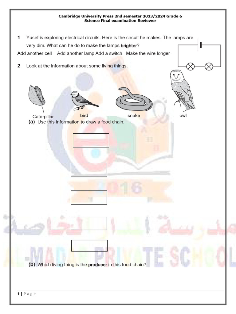Grade 6 Science Final Exam Reviewer | PDF | Weight | Mass