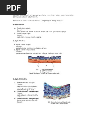 jurnal jaringan epitel - garut flash