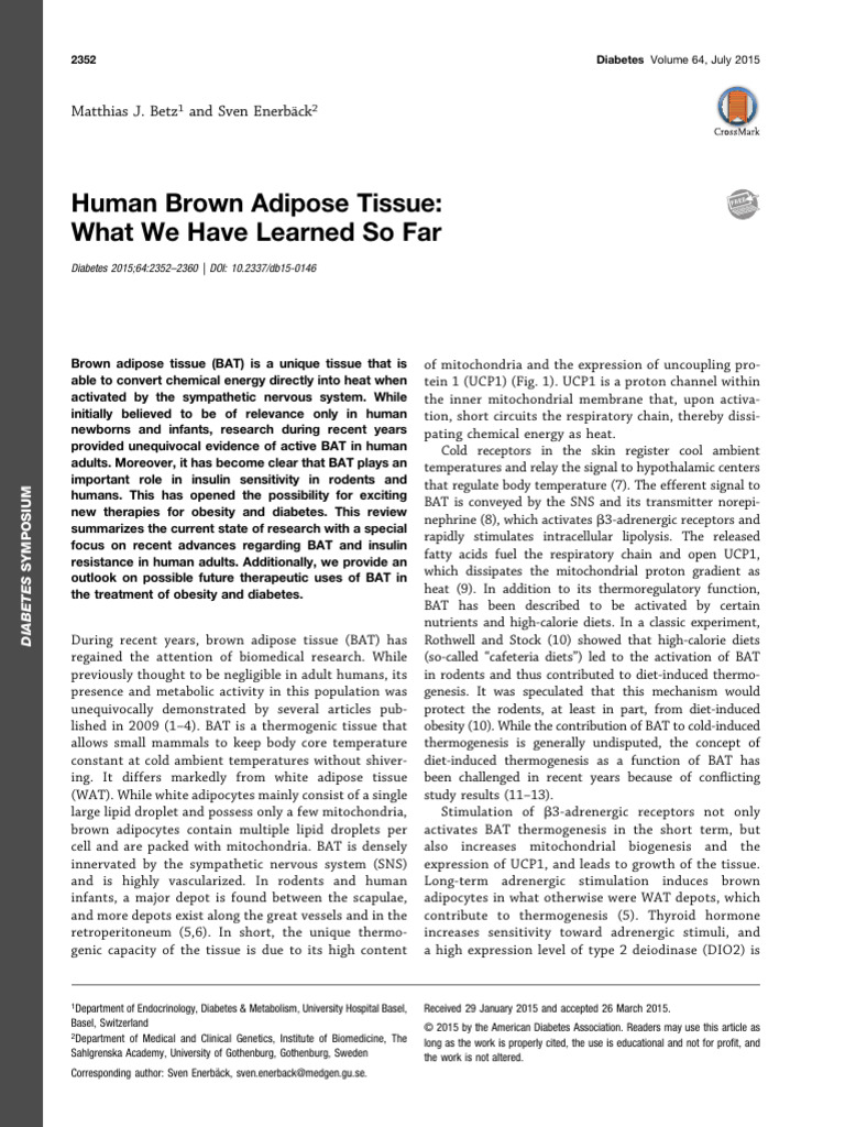 Human Brown Adipose Tissue | PDF | Insulin Resistance | Adipocyte