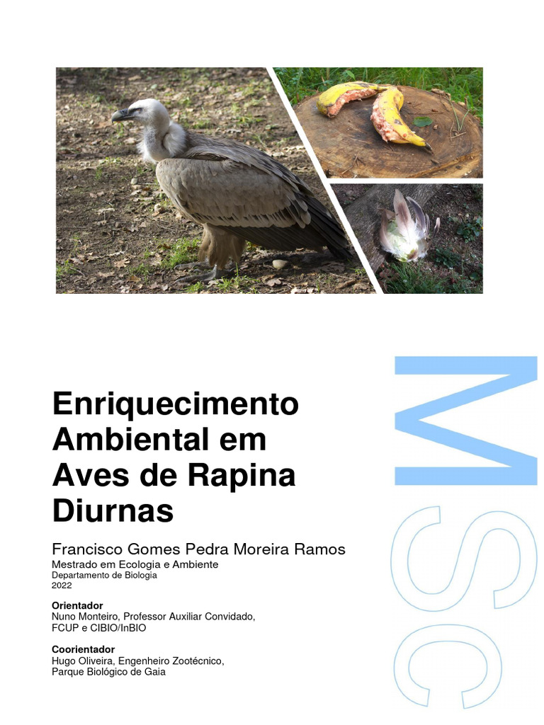 The Beer Book - Traduzido | PDF | Cerveja | Vinhos, image size:768x1024