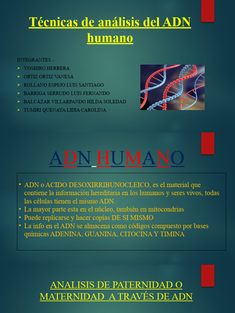 Analisis De Paternidad Pdf
