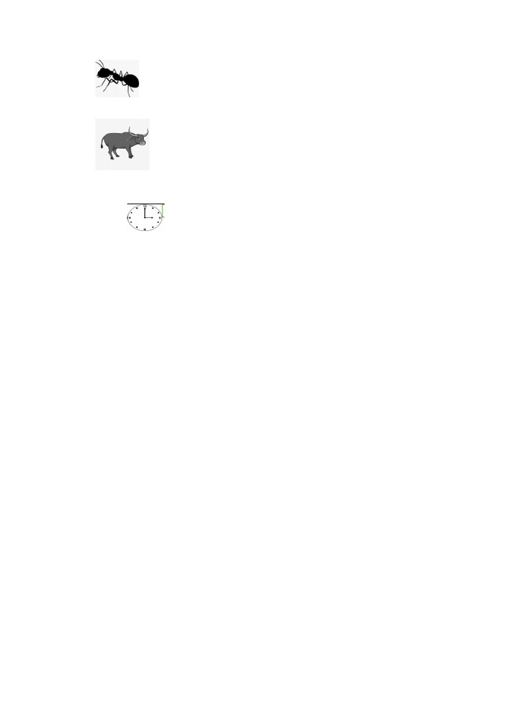 Ant | PDF