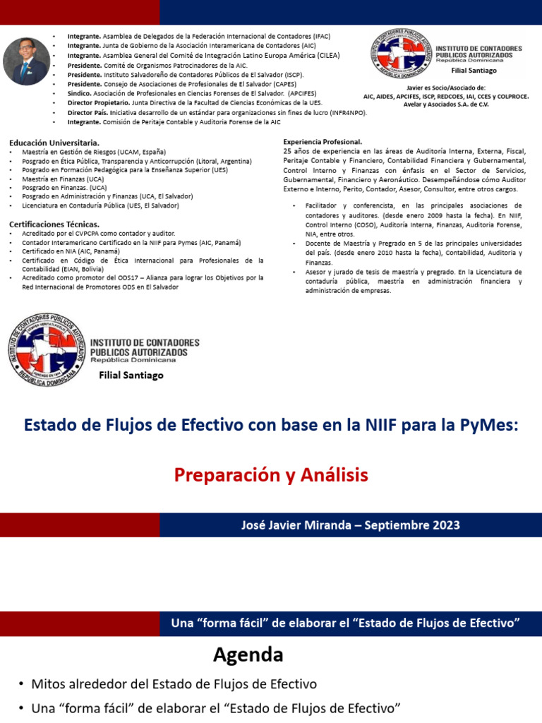 EFE NIIF para La Pymes 2023 Dominicana | PDF | Contador | Auditoría