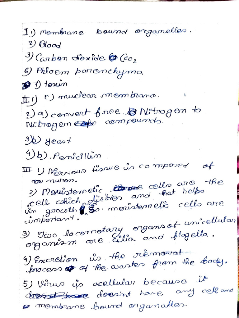 Cell Structure and Functions | PDF | Science & Mathematics