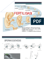 Fertilisasi Final