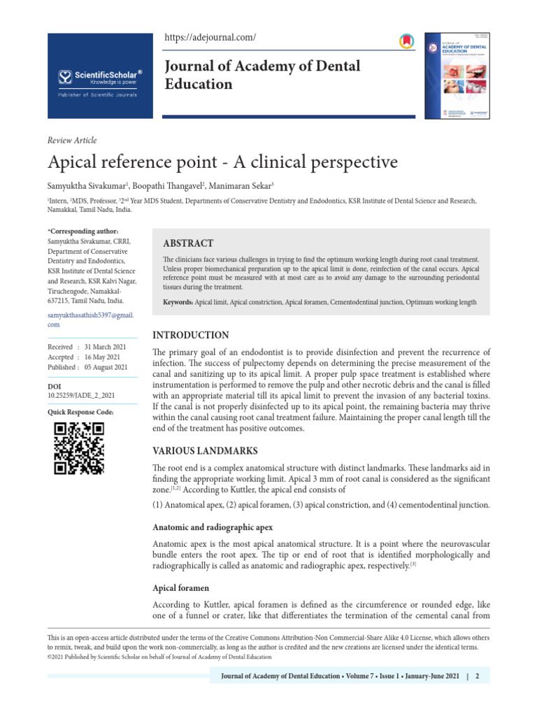 Apical Reference Points in Endodontics | PDF | Mouth | Tooth