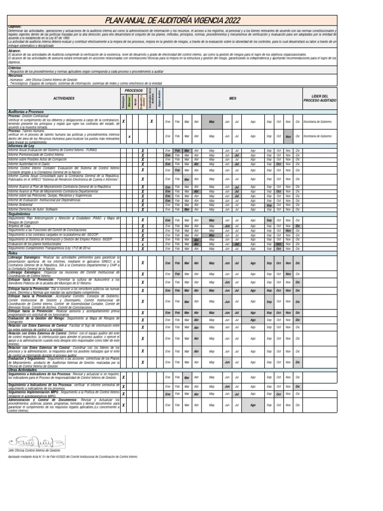 plan anual de auditoria | Descargar gratis PDF | Auditoría | Contralor