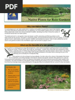 Virginia; Native Plants for Rain Gardens - Alliance for the Chesapeake Bay