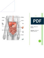 La Gastroenterología