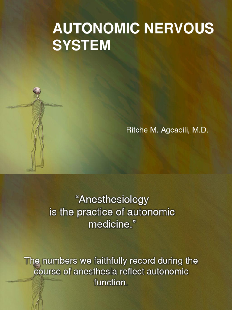 Overview of the Autonomic Nervous System | PDF | Autonomic Nervous ...