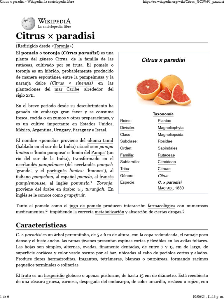 Citrus × Paradisi - Wikipedia, La Enciclopedia Libre | PDF | Pomelo ...