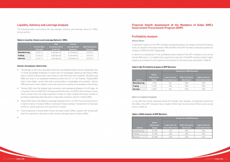 SME Report English Page 15 | PDF