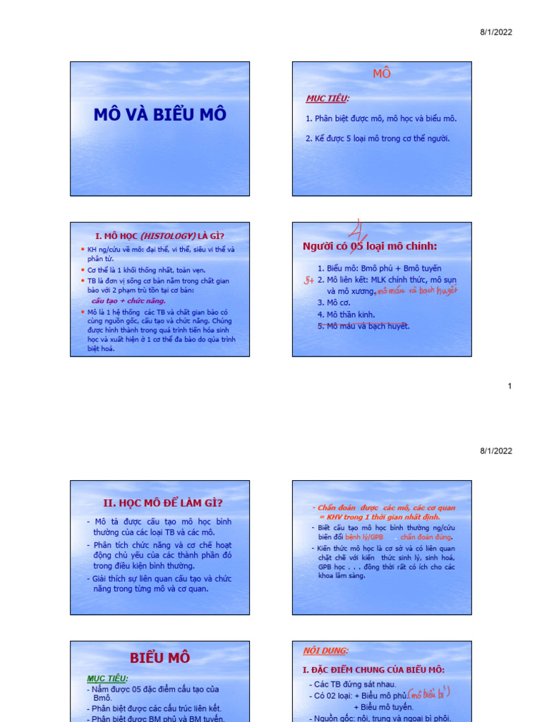 1 Mô - Biểu Mô | PDF