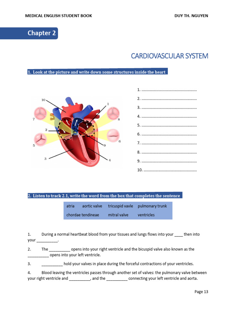 Cardiovascular System Overview | PDF | Heart | Heart Valve