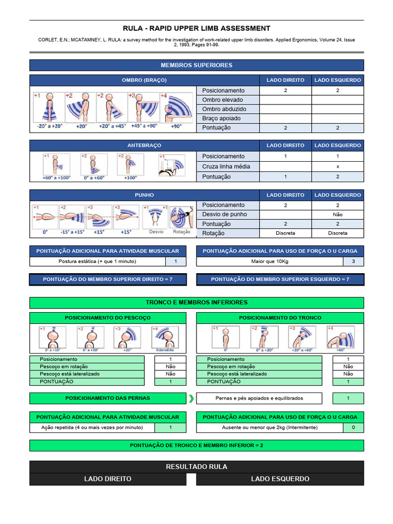 Planilha RULA Top Ergonomia Versao 2 Excel Xrbhig | PDF | Anatomia ...