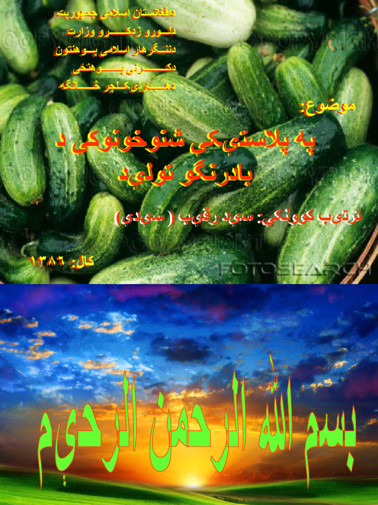 Said Raqib | PDF