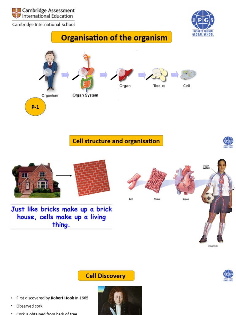 CH 2 | PDF | Endoplasmic Reticulum | Cell (Biology)