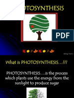 Photosynthesis: Biology Form 4