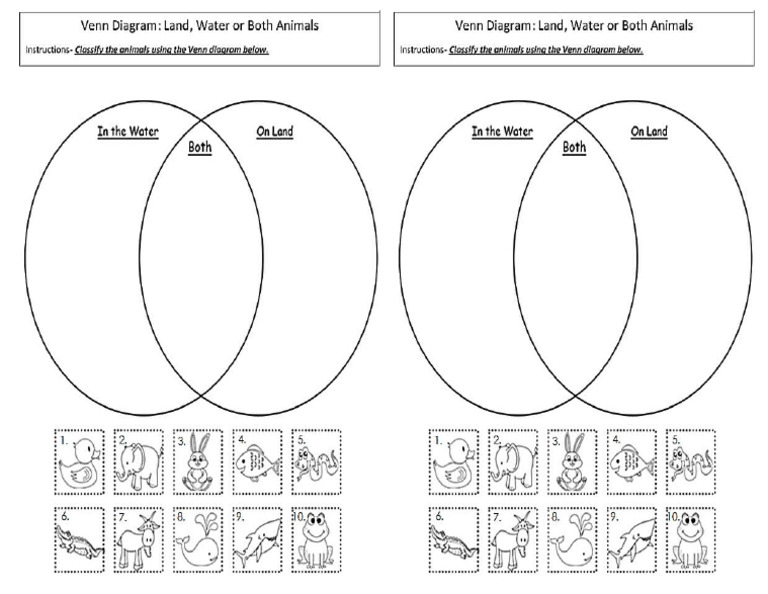 Venn Diagram 3rd Grade | PDF