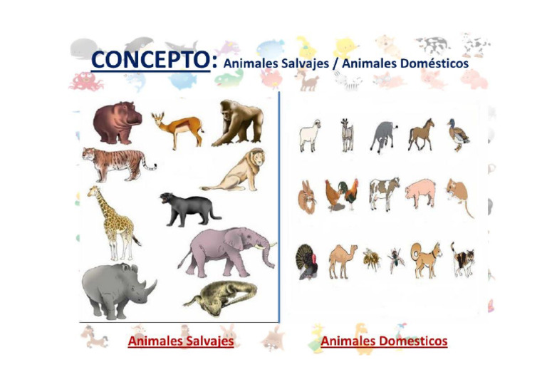 ANIMALES | PDF