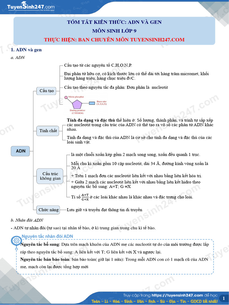 ts247 DT Tom Tat Kien Thuc Adn Va Gen 114 1638945112 | PDF