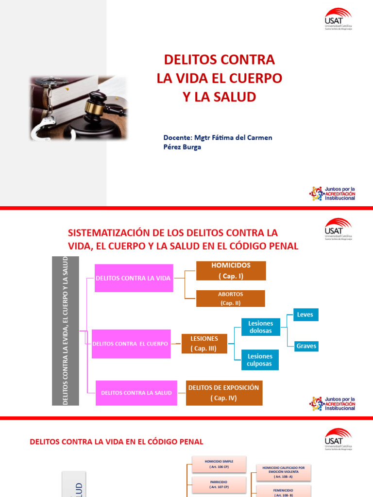 Delitos contra la vida y la salud | PDF | Homicidio | Crímenes