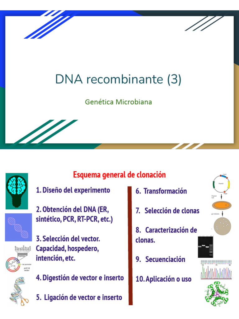 20 DNA Recombinante 3 | PDF | Adn Ligase | Adn
