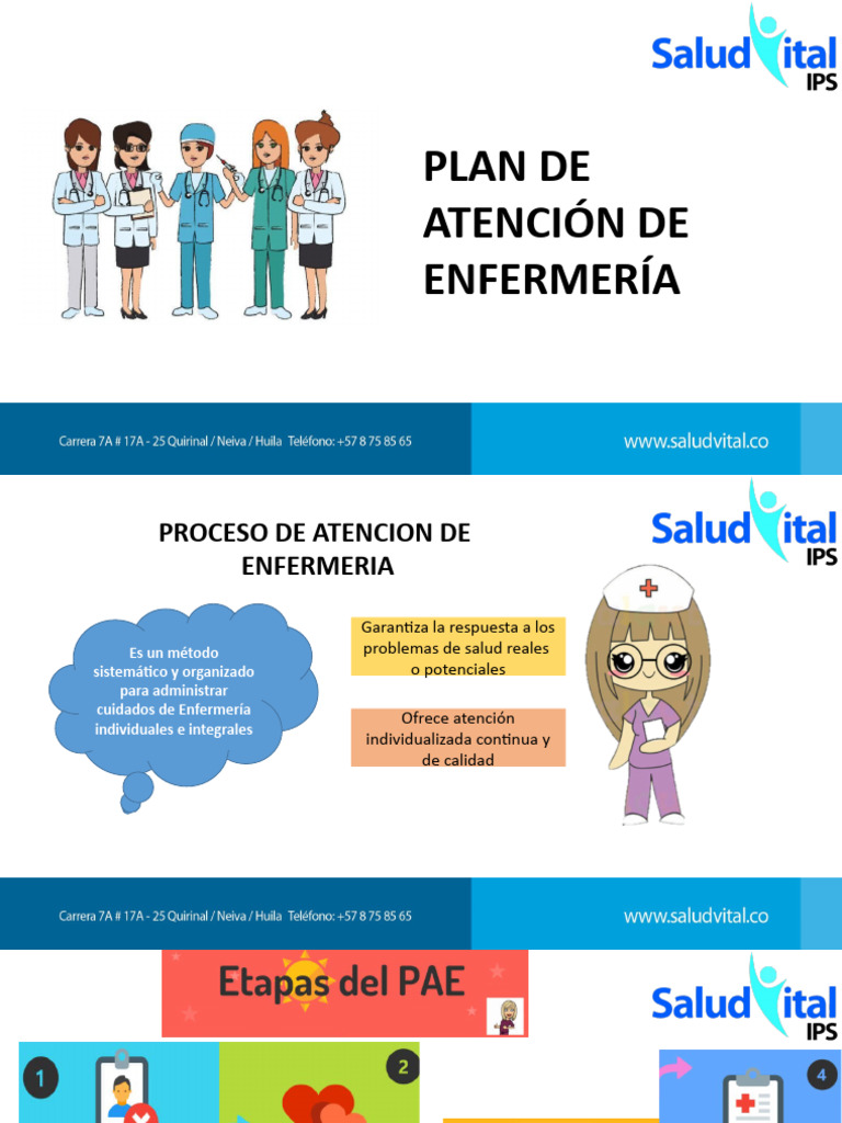 Plan de Atención de Enfermería | PDF | Enfermería | Cuidado de la salud