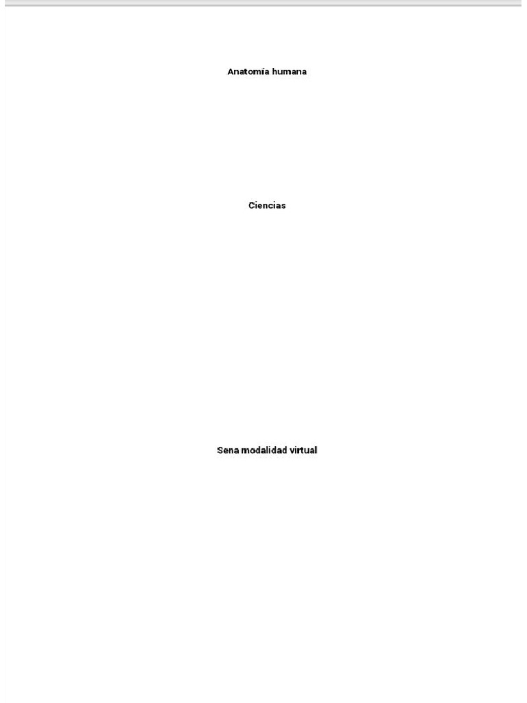 ANATOMIA PDF visual data 2