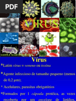 _AULA slide vírus 26