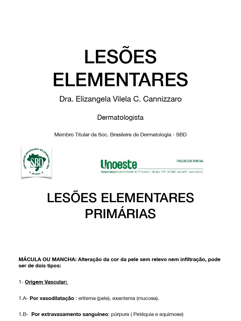 Lesões Elementares Pdf Pele Medicina Clínica