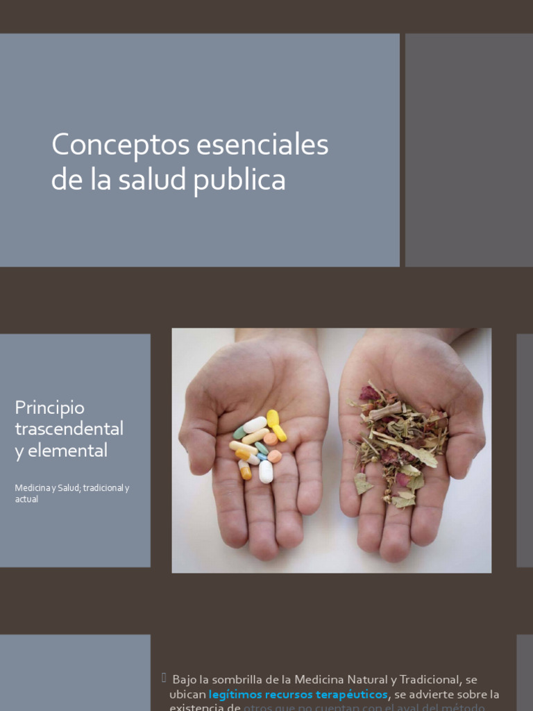 Conceptos Esenciales De La Salud Publica Pdf Salud Pública Hospital