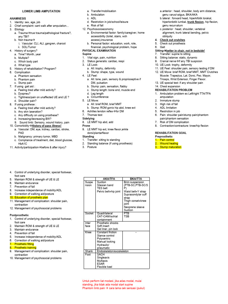 LOWER LIMB AMPUTATION Haho | PDF | Prosthesis | Limbs (Anatomy)