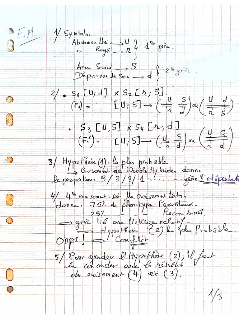 Corrigé de Exo Trois Etoiles | PDF