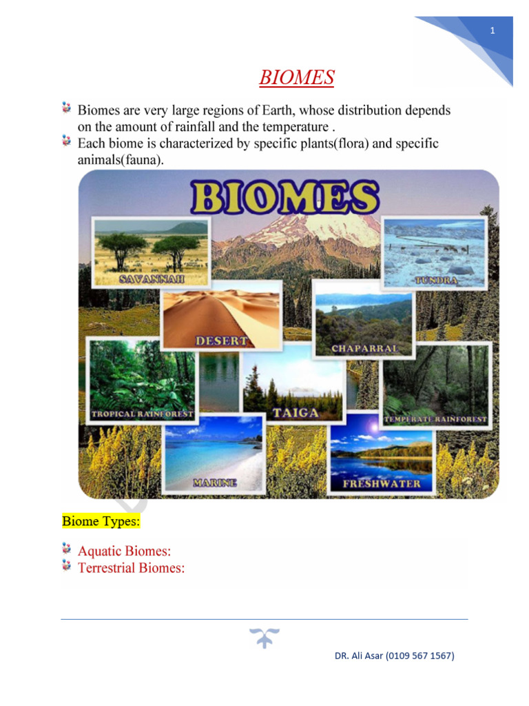 Overview of Earth's Biomes | PDF | Grassland | Earth Sciences