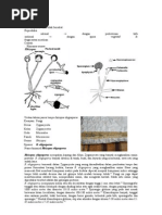 Download hipotesis jamur by Donny_Aditya_8917 SN74142857 doc pdf