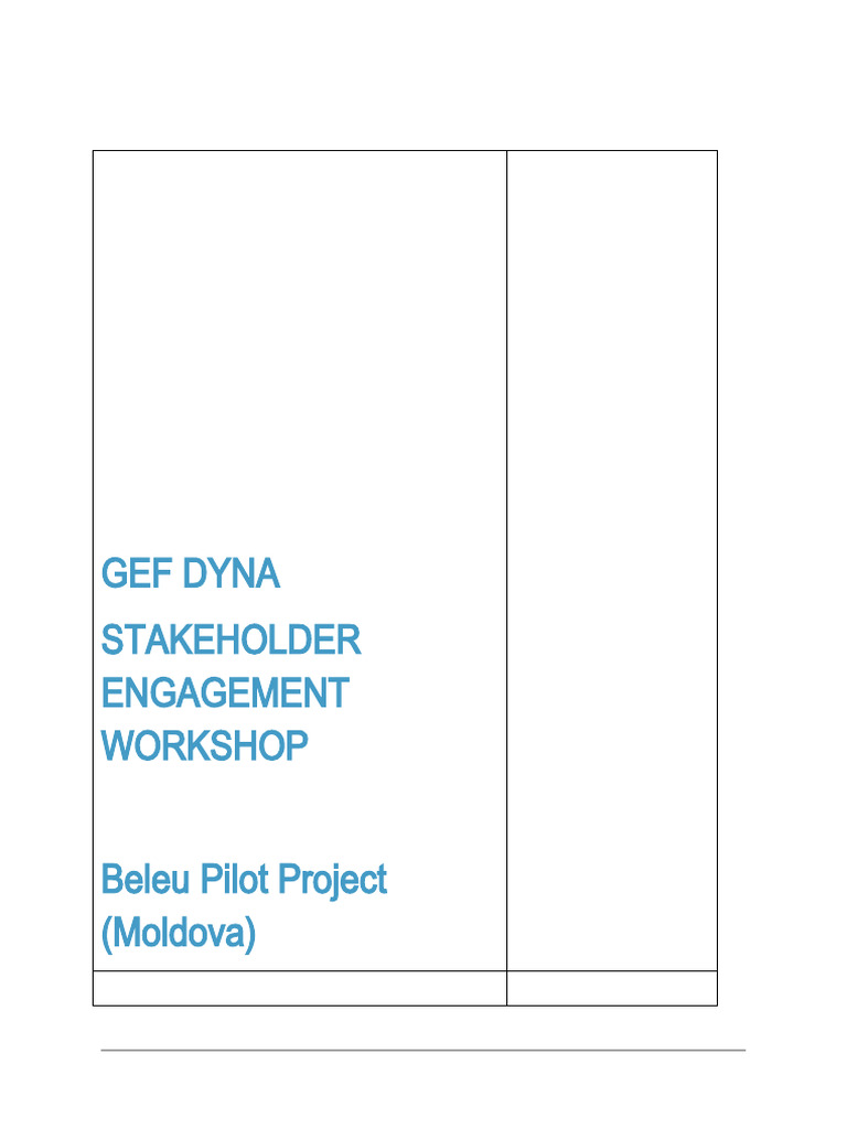Stakeholder Engagement Report Sample Pdf Water Lake