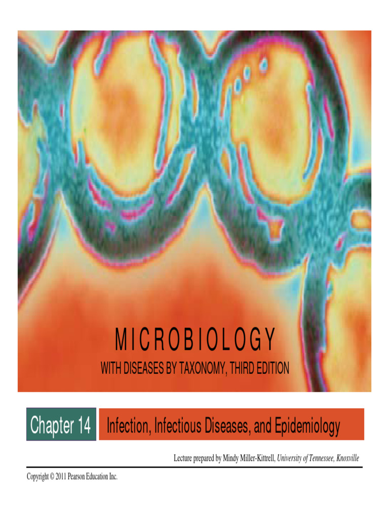 Microbial Symbiosis and Infection Dynamics | PDF | Infection | Pathogen