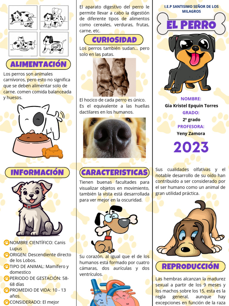 Triptico El Perro Domestico | PDF | Zoología