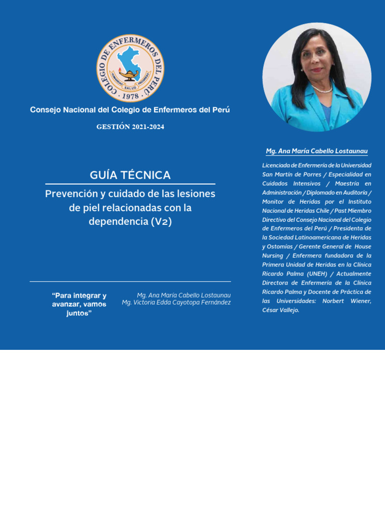 Sesi n 7 guia tecnica prevencion cuidado lesiones de piel relacionadas