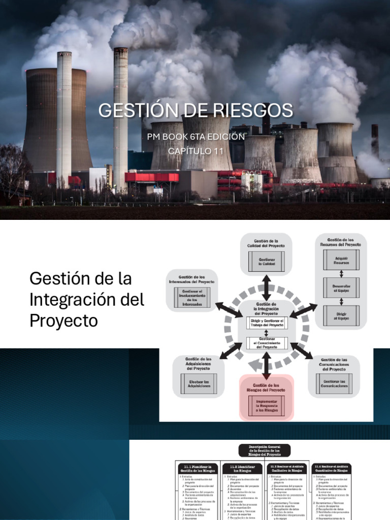 Gestión de Riesgos | PDF | Riesgo